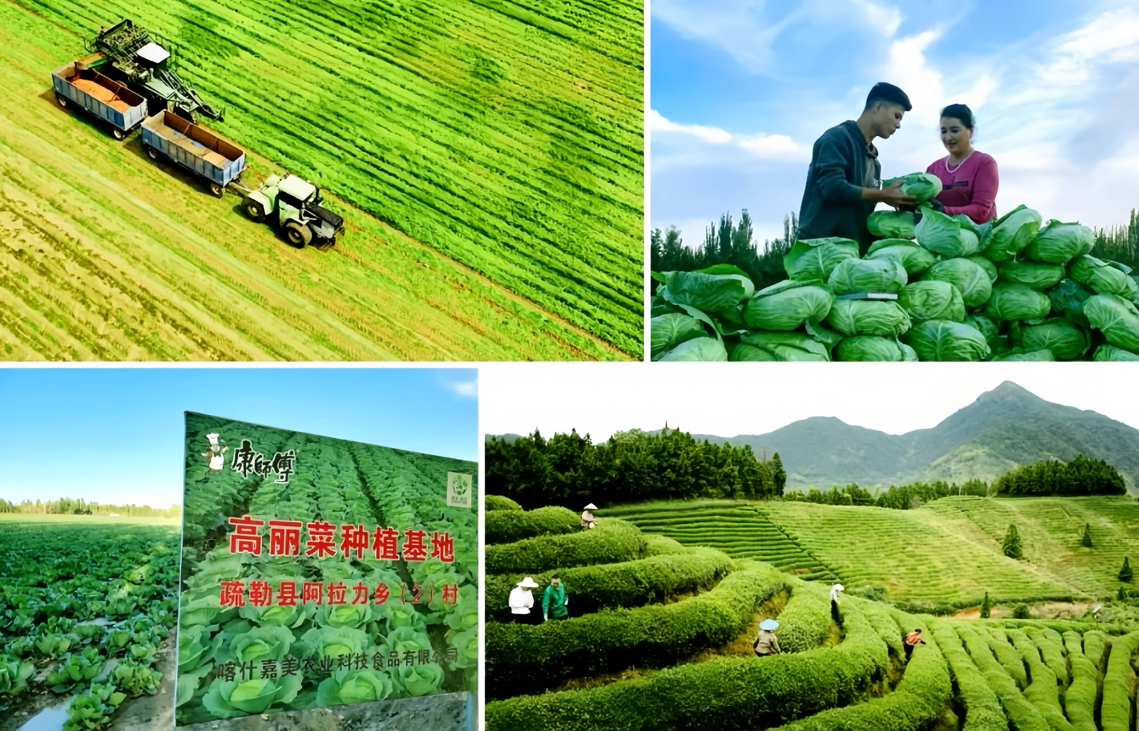 “天选”康师傅背后的品质竞赛(图4)