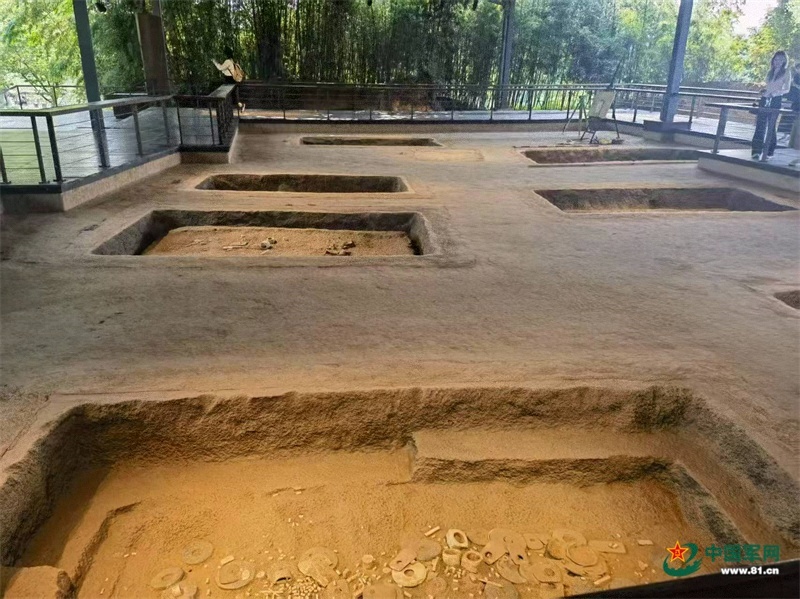发展新动能在“浙”里强劲活跃(图4)