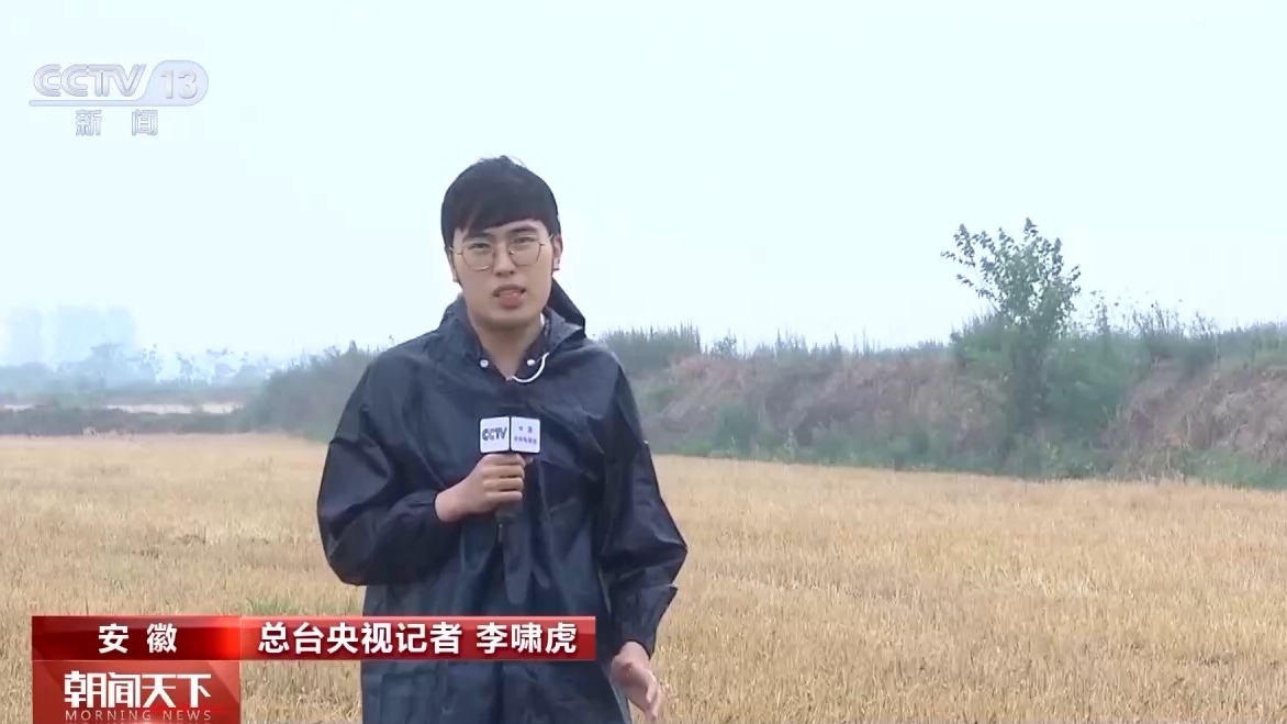 气象预报加上数字化监测小麦“颗粒归仓”有了“最强大脑”(图2)