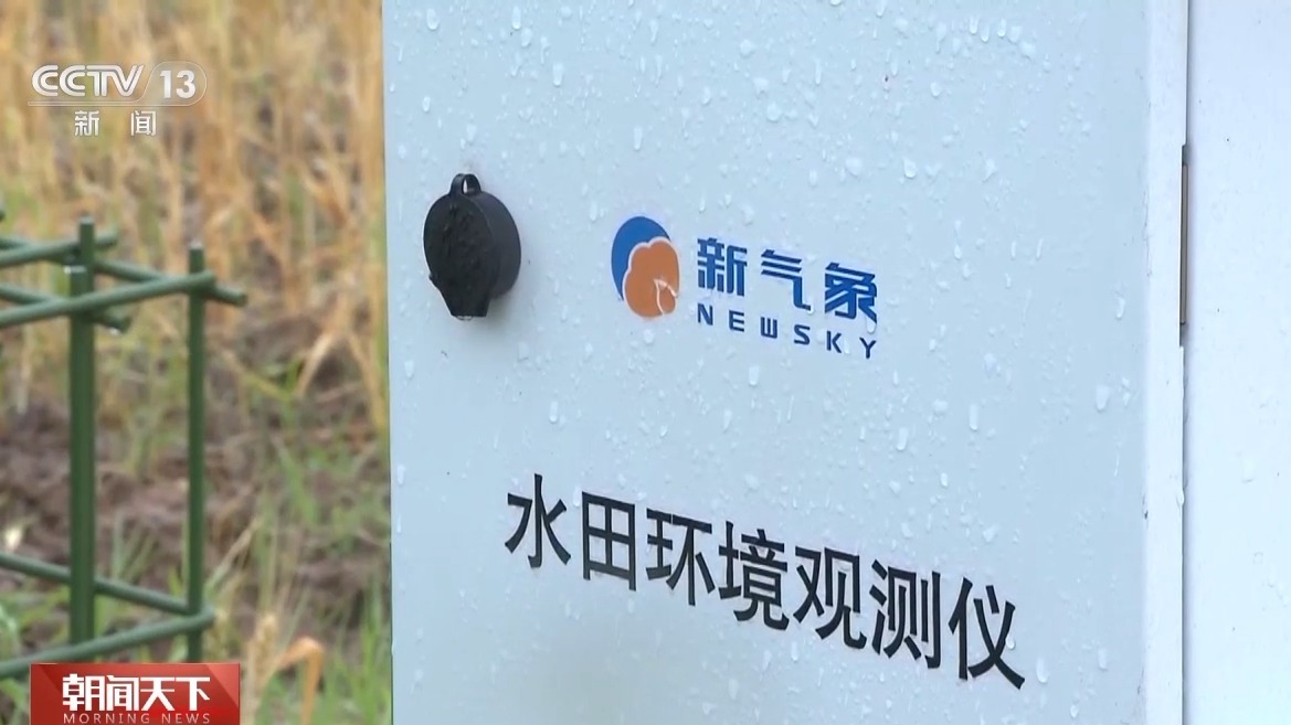 气象预报加上数字化监测小麦“颗粒归仓”有了“最强大脑”(图4)